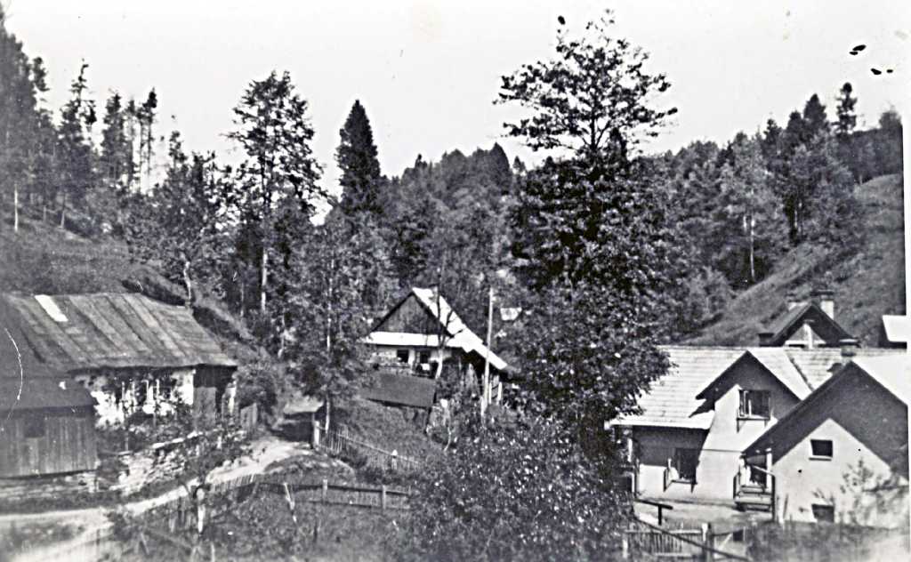 11_028.jpg - Rotnecká stavení zleva čp. 17, 16 a 12, s pohledem směrem do Dola