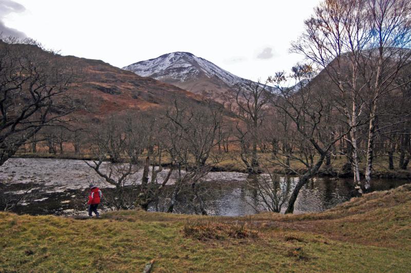 NIK_D100_3889.jpg - Glenn Nevis