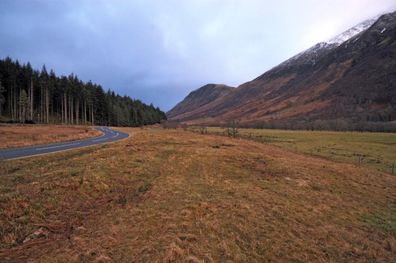 NIK_D100_3893.jpg - Glenn Nevis