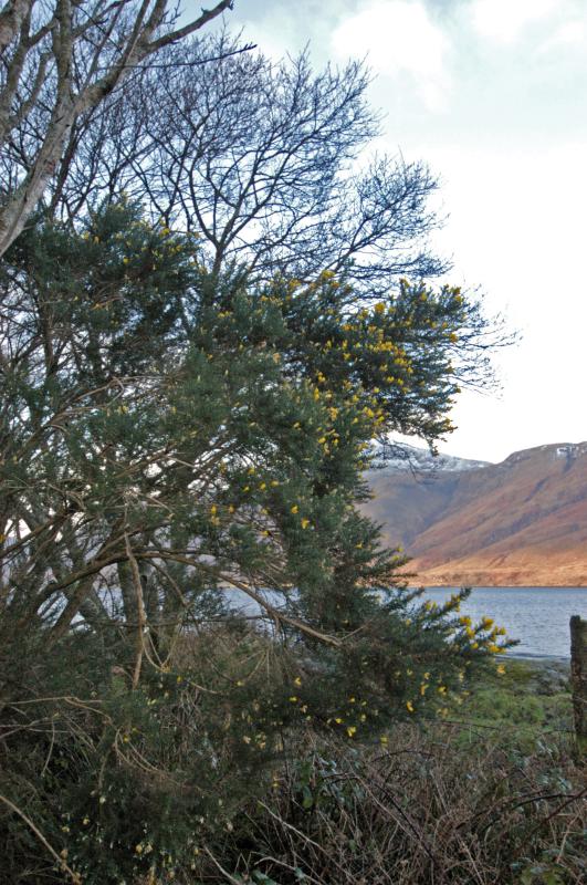 NIK_D100_3965.jpg - U moře nedaleko Obanu