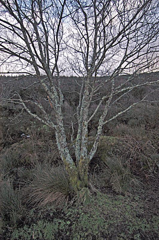 NIK_D100_3980.jpg - U moře nedaleko Obanu