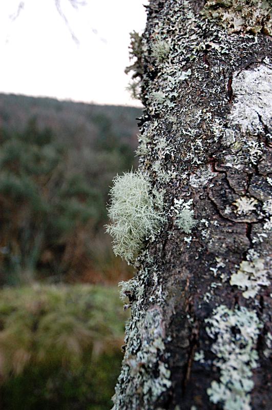 NIK_D100_3985.jpg - Moře nedaleko Obanu
