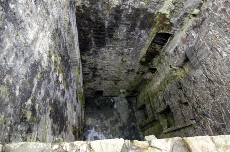 NIK_D100_4391.jpg - Carnasserie Castle