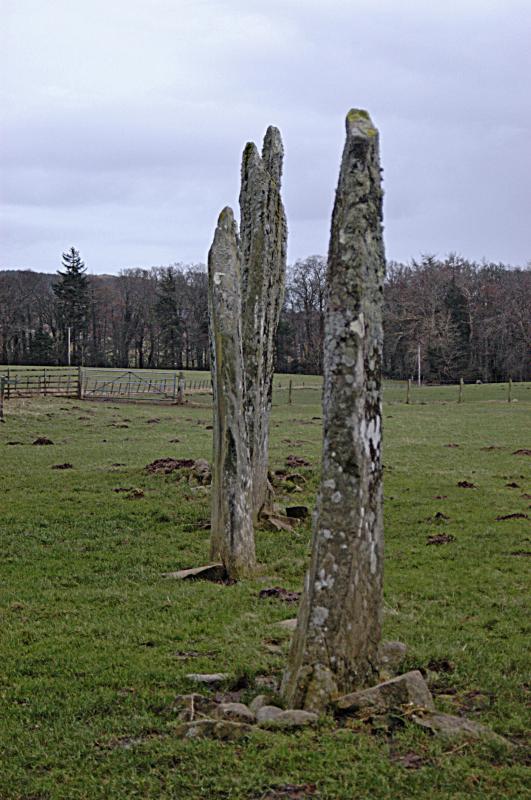NIK_D100_4543.jpg - Ballymeanoch stones